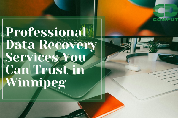 Professional Data Recovery Services You Can Trust in Winnipeg