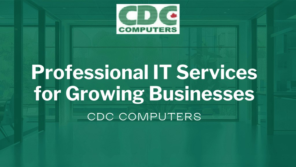 IT services Winnipeg for businesses