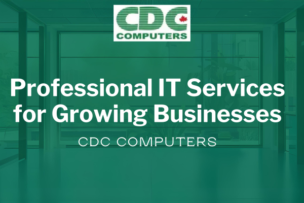 Professional IT Services in Winnipeg for Growing Businesses